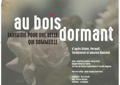 Accueil Exemplaire 2 Au bois dormant, fantaisie pour une belle qui sommeille